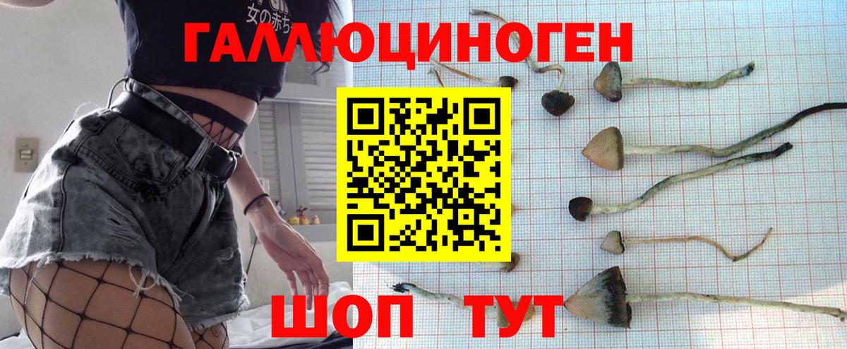 Галлюциногенные грибы GOLDEN TEACHER  Вход с VPN  Кумертау 