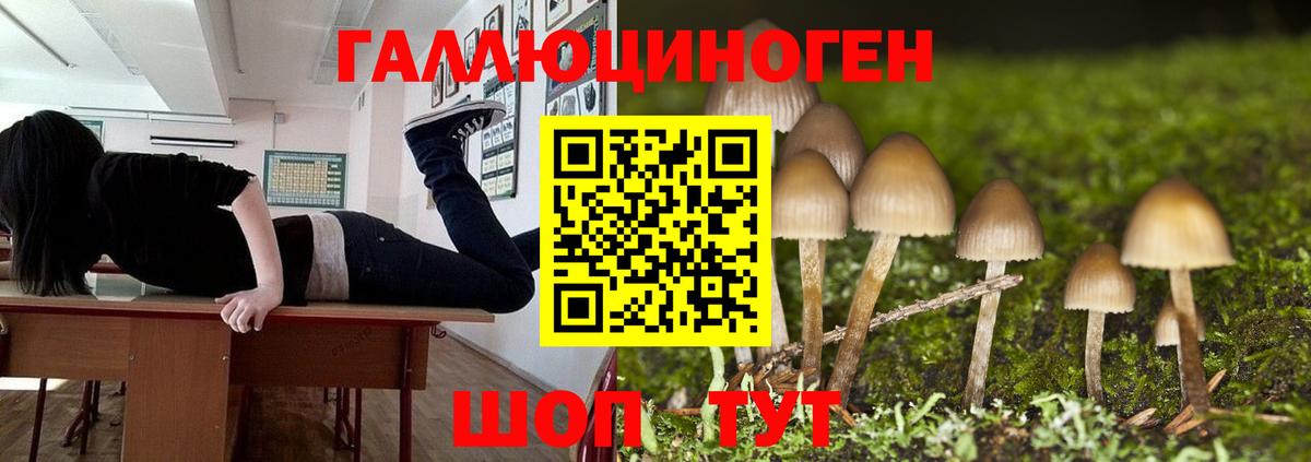 Псилоцибиновые грибы ЛСД Кумертау
